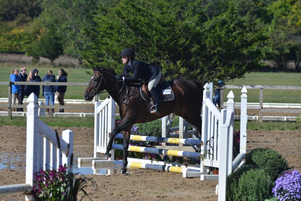 Equestrian Riding High with First Place Finish at LIU Post Show