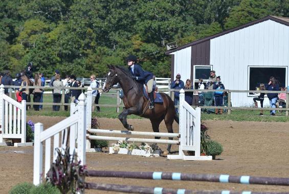 Equestrian Finishes in Sixth in Spring Opener