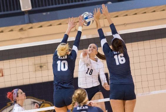 Women’s Volleyball Downed by Western Conn. in Season Opener