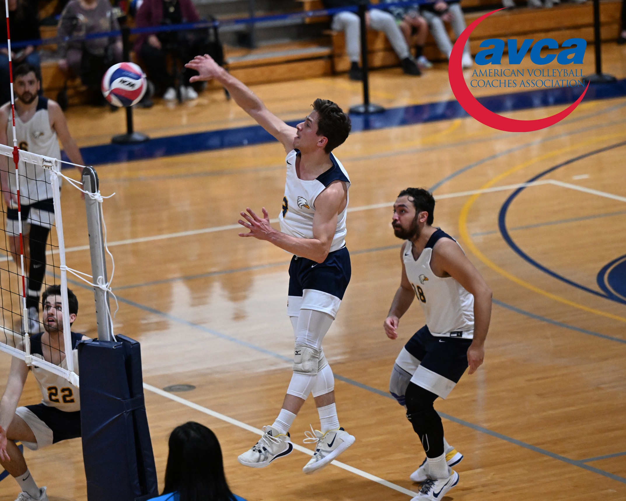 Curaro Named AVCA Northeast All-Region