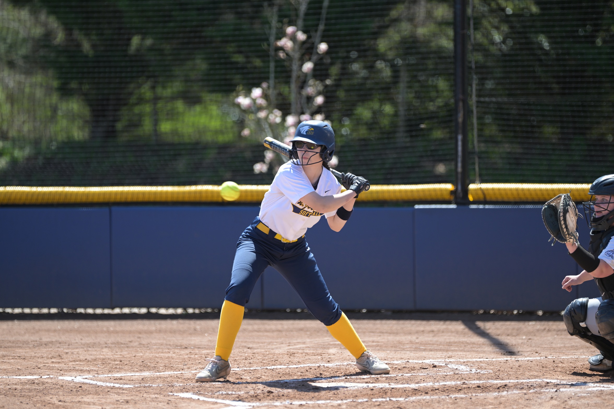 Softball Topped by Meredith on Tuesday