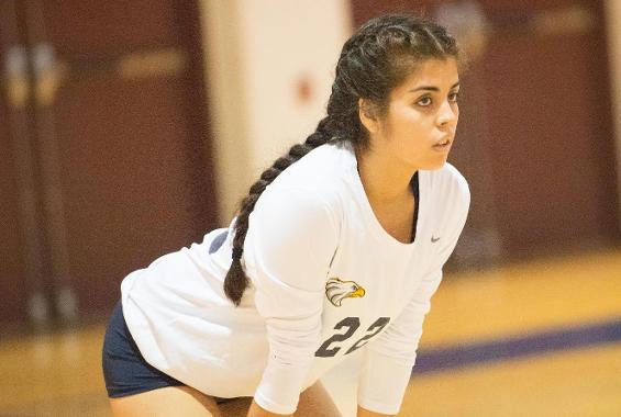 Women’s Volleyball Opens Season with Pair of Losses