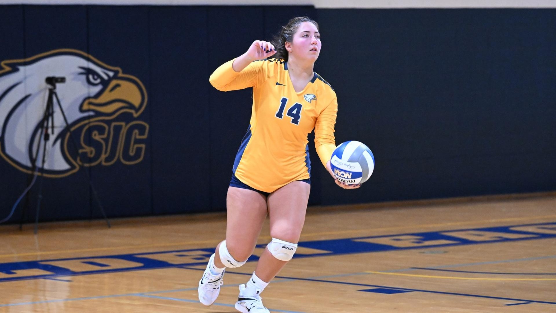 Women's Volleyball Breezes Past Lehman for Fifth-Straight Win