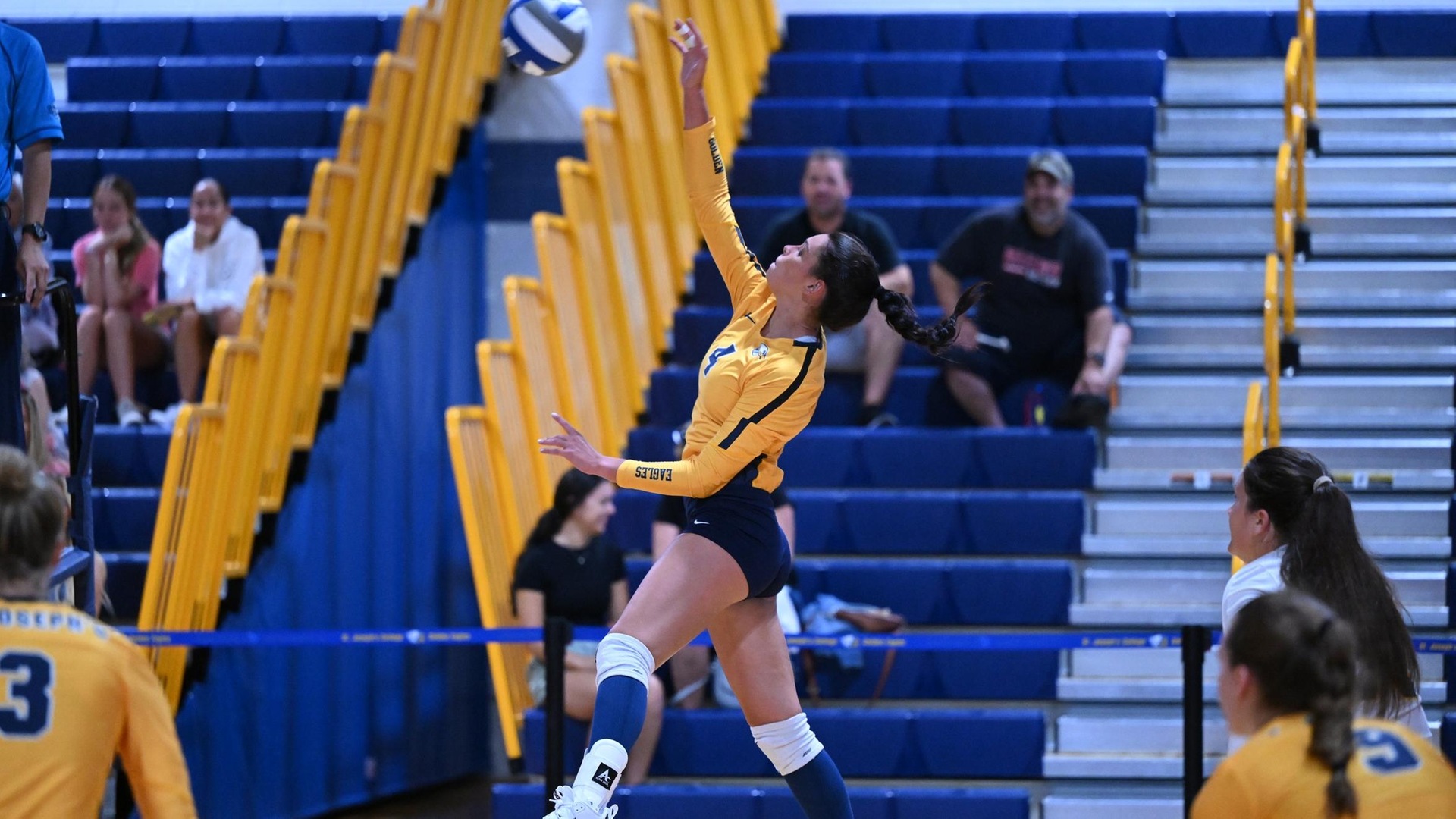Women's Volleyball Falls Twice on the Road