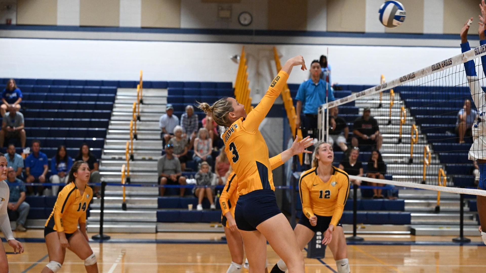 Women's Volleyball Sweeps Purchase, 3-0