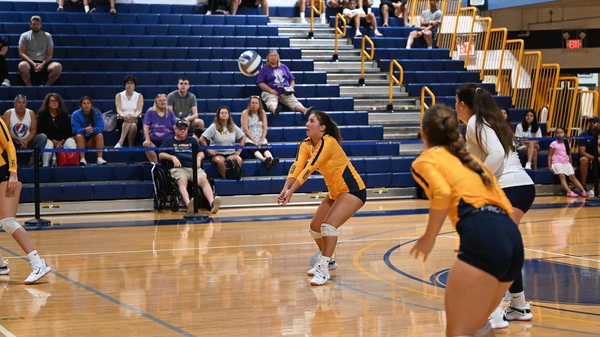 Women's Volleyball Falls to Ramapo and Wilkes