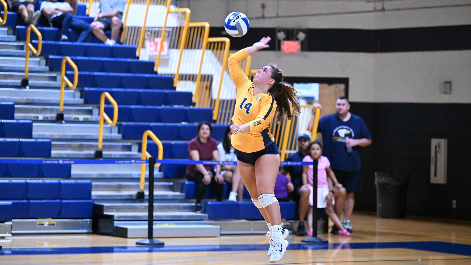 Women's Volleyball Advances to Semis with 3-0 Win Over Old Westbury
