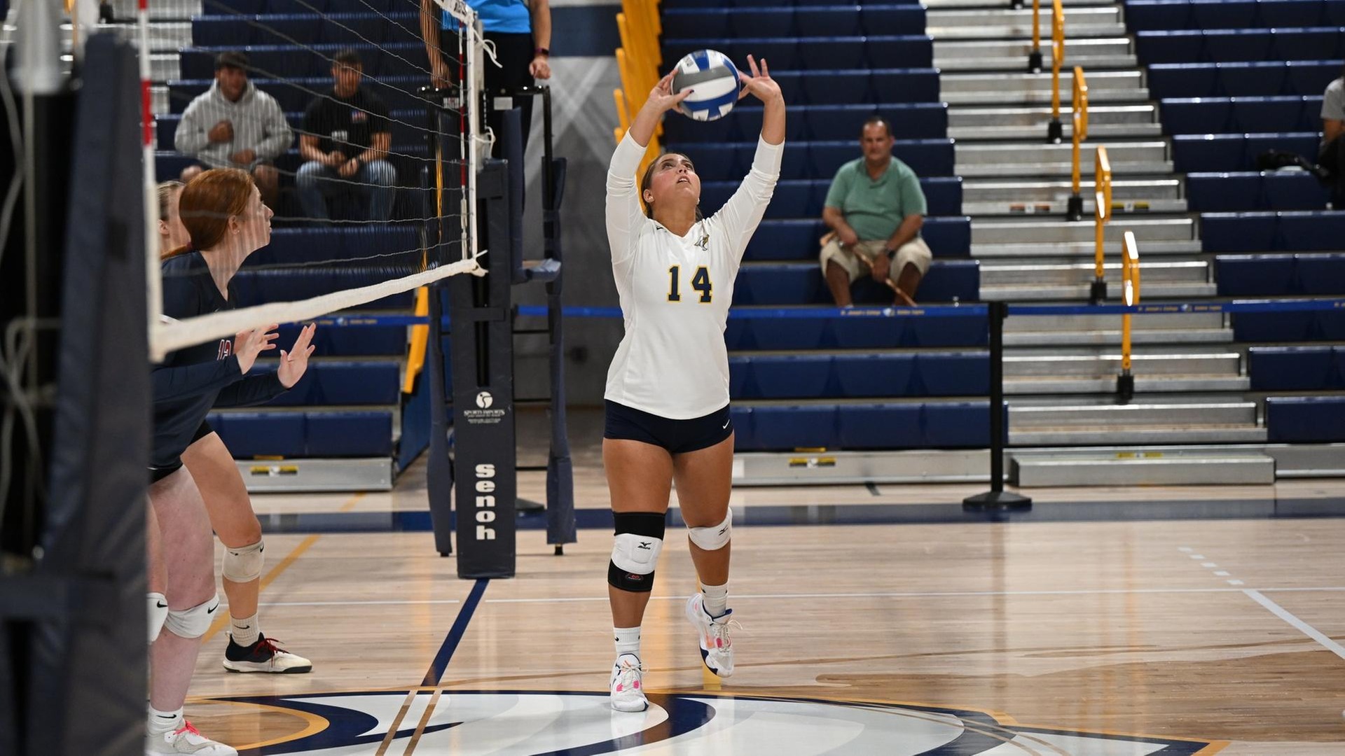 Women's Volleyball Takes Down Dolphins, 3-0