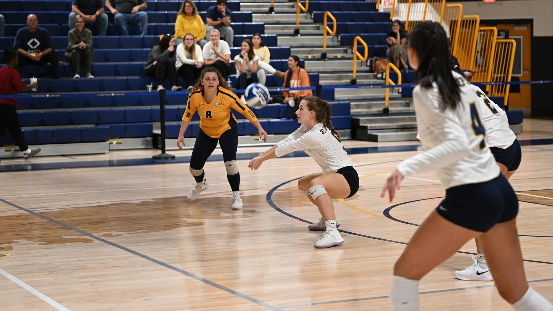 Women's Volleyball Starts Skyline Play With a Sweep of Maritime