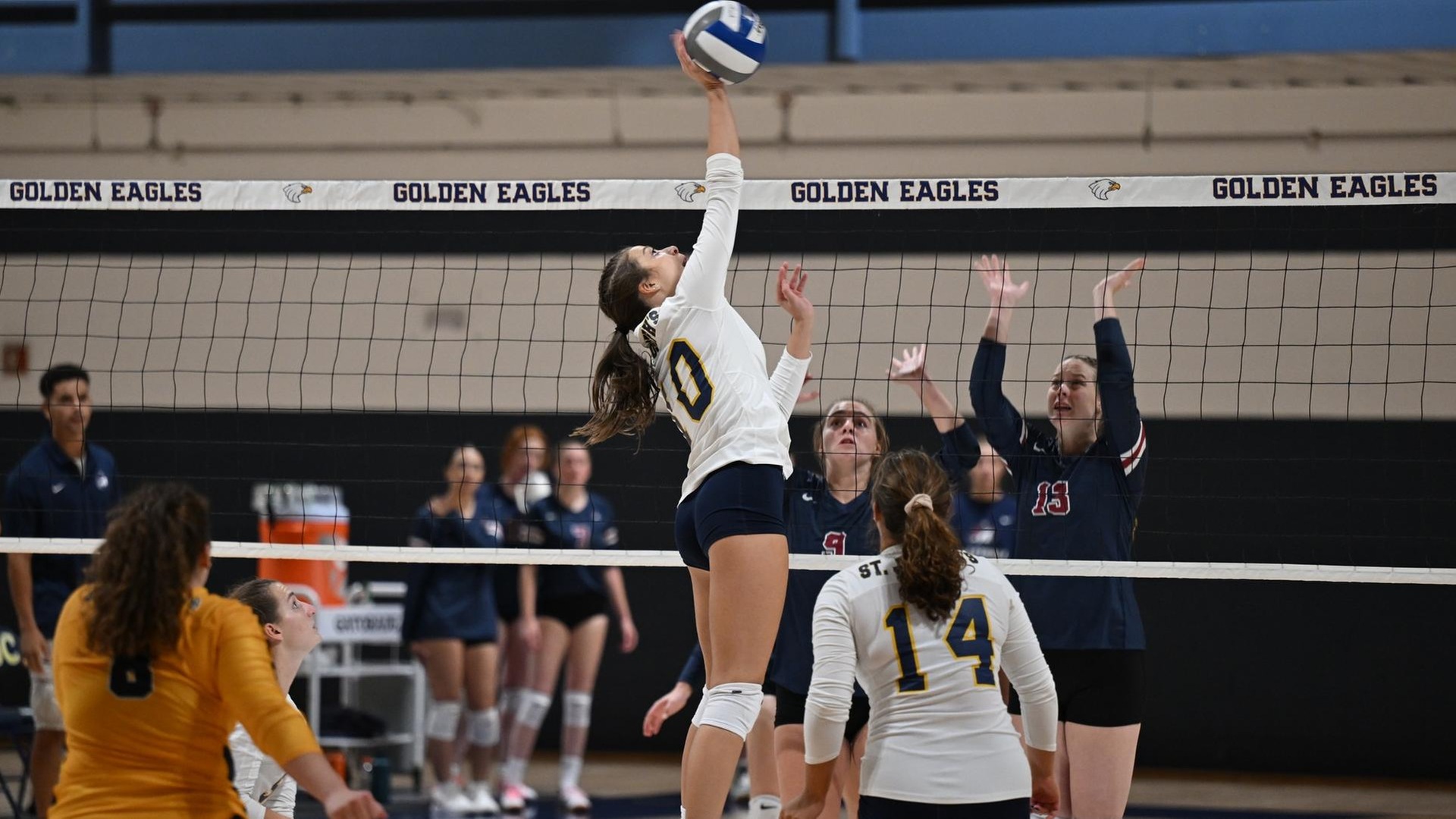 Women's Volleyball Secures Sweep Over Purchase